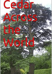 Barbara Bridgeford On Spiritualism – Book Review – Found on Amazon