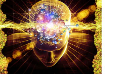 Where are our Memories Stored ?- The human brain isn’t really empty, of course. But it does not contain most of the things people think it does – not even simple things such as ‘memories’. 