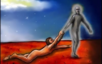 Clearing Attachments and Entities – Case Study